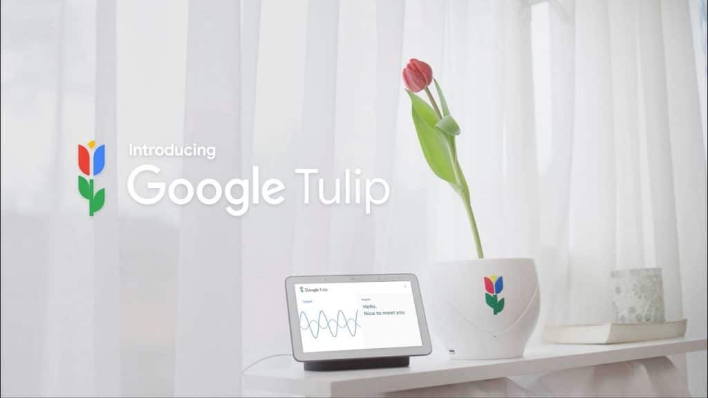 1 april-techgrappen: Google Tullip