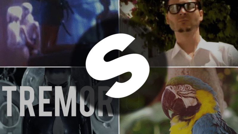 Spinnin' Records collage